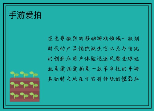 手游爱拍